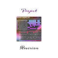 Project Revision