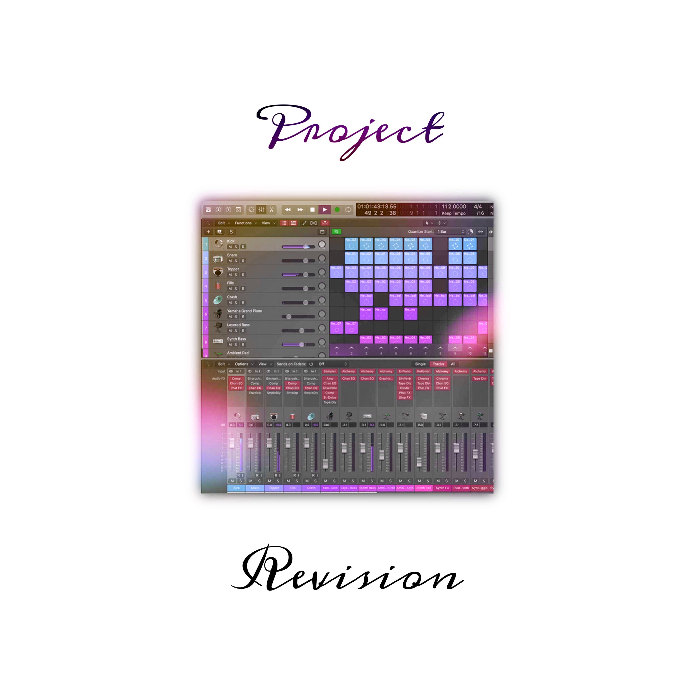 Project Revision